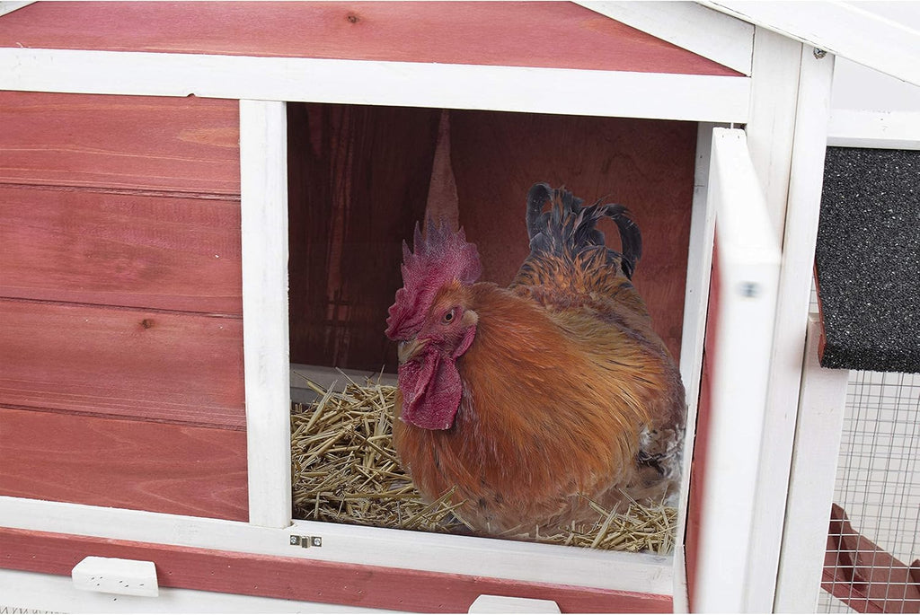 Deluxe Two Tier Wooden Chicken Coop Habitat, Hutch Hen Nest for Backyards and Outdoors, Red